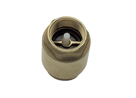 Brass Non-return Valve 1/4"