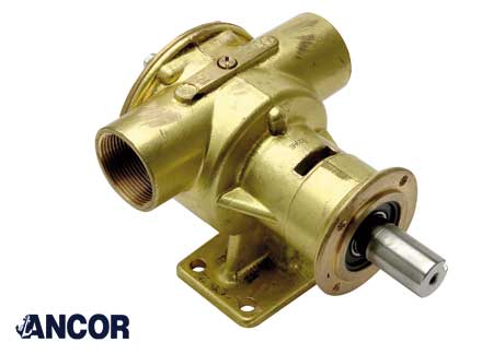 1829040 Ancor Pump Pm40