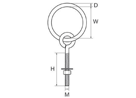 232012_ Ring Bolt M12x80 W60 Stainless Steel