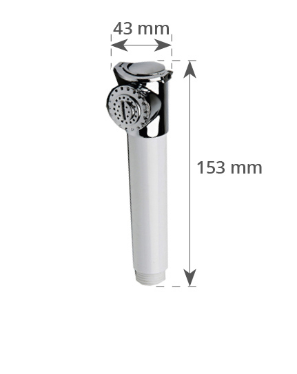 Chromed Shower Head