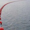3820418_2 Dura Float Round Signal Buoy Orange 200x200mm