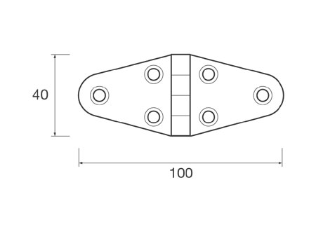 430430_ White Hinge 40x100mm
