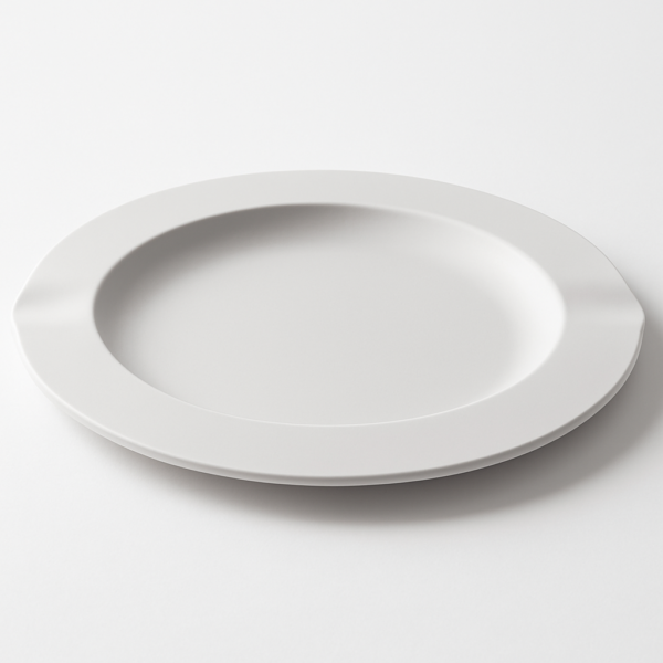 product-116742-20260612140556 Set 2 pcs Melamine Dinner Plates 277mm